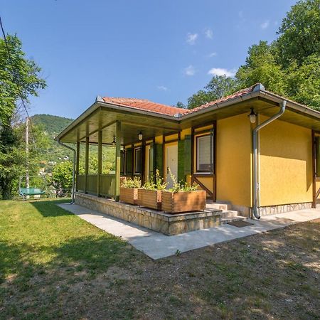 Vila Camelia 골루바츠 외부 사진