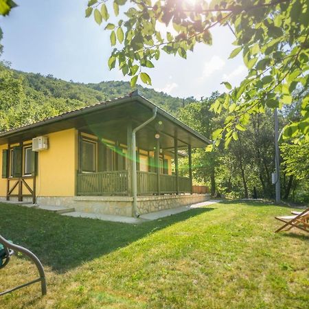 Vila Camelia 골루바츠 외부 사진