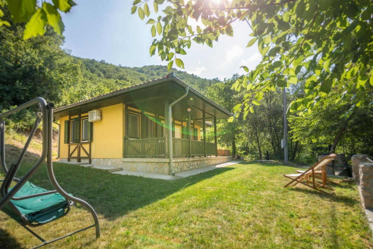 Vila Camelia 골루바츠 외부 사진